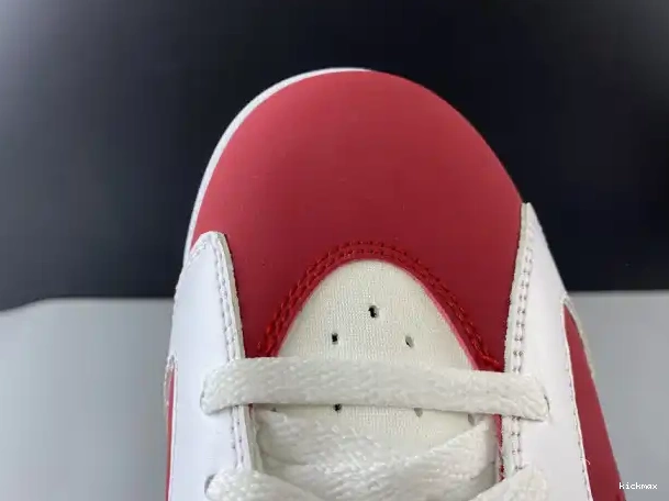 Rep MAX 2014 AIR RETRO 384664-160 JORDAN 'CARMINE' 6 0320